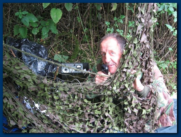 600x449 pixels (190K)